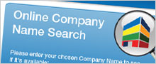 Starting The Company Name Search