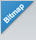 Bitmap