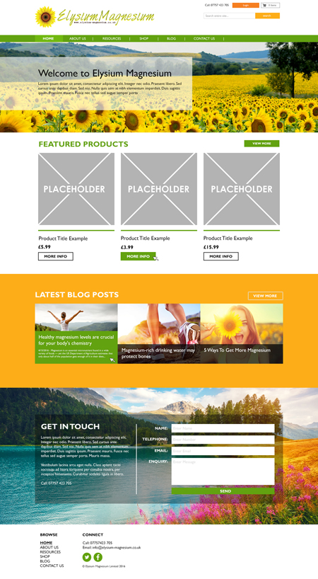 Bespoke Website Example 2 – Homepage