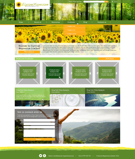 Bespoke website example 2 – Internal Page