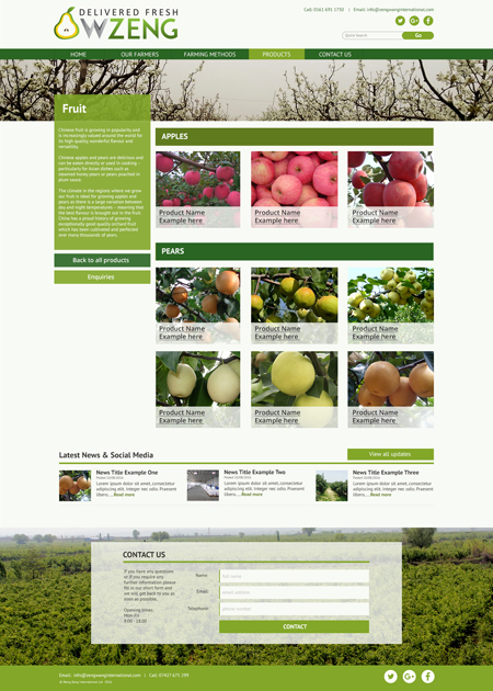 Bespoke website example 3 – Internal Page