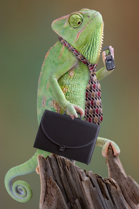 Chameleon Businessman Stealth Marketing