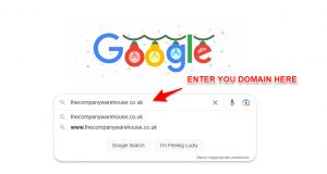 Image showing how to use Google search to check if your website is listed in the index