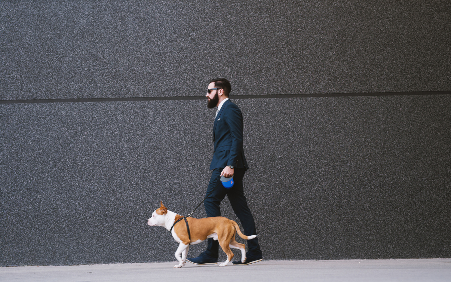 A businessman in a suit walking a dog